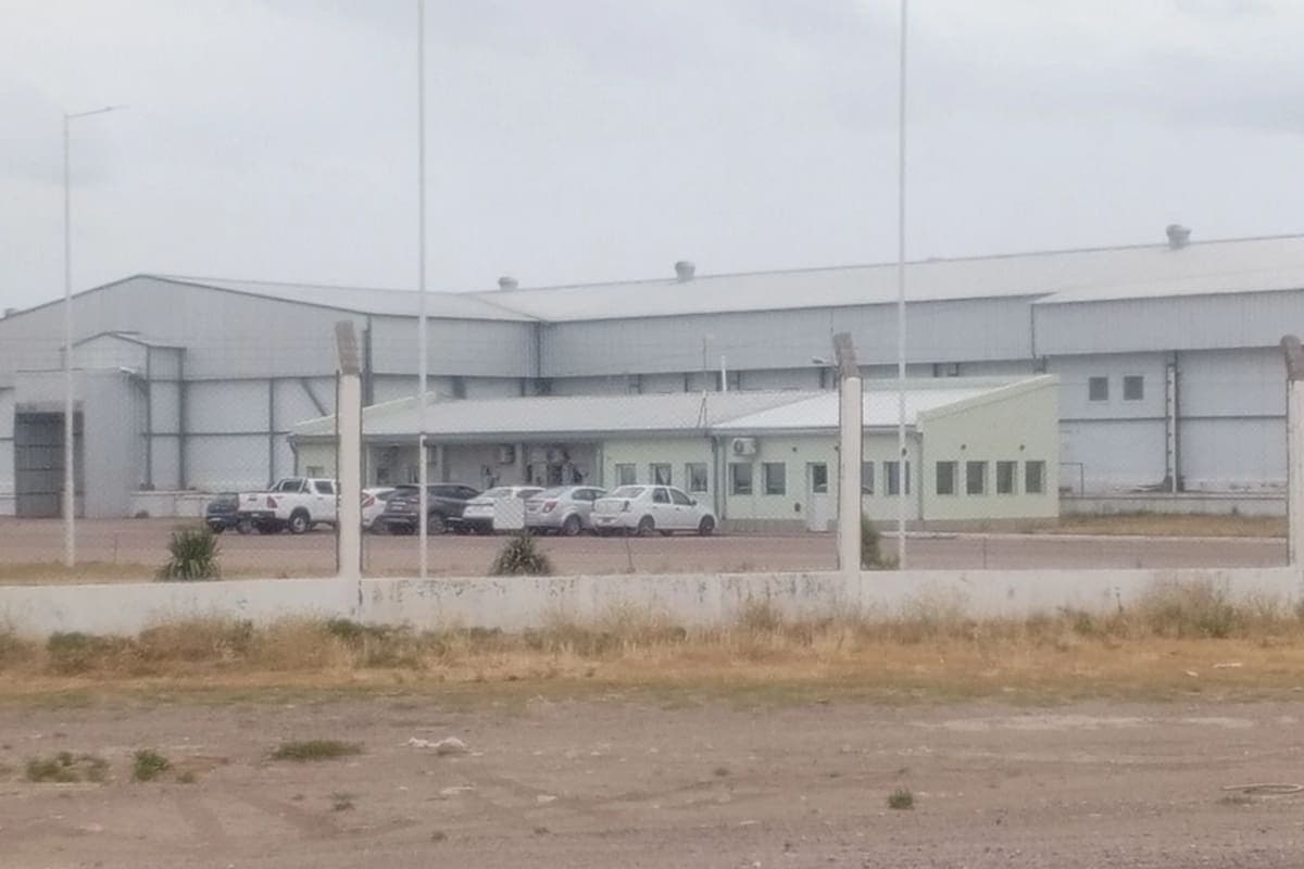 Frigorífico pampeano: capital chino despide masivamente
