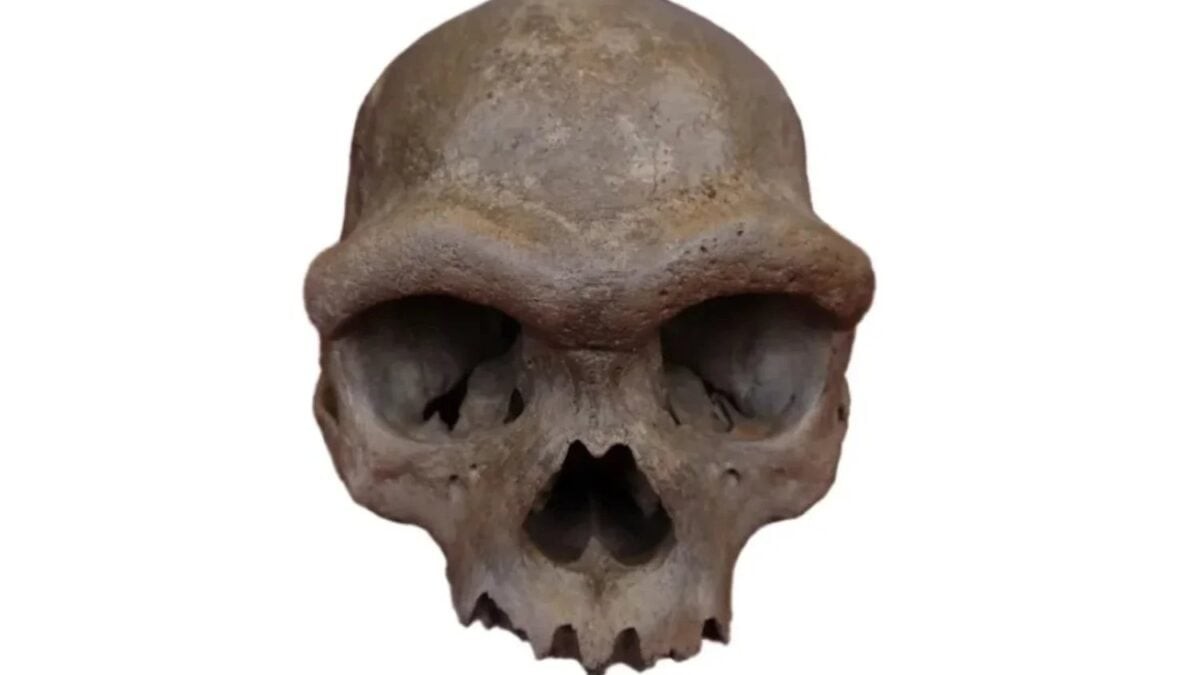 Denisovanos en China: 1.366 herramientas revelan cómo vivían nuestros misteriosos primos humanos