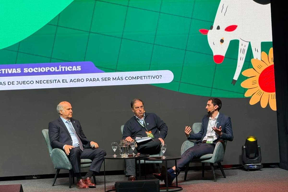El Gobierno Milei quiere que los aportes al Instituto de la Carne sean voluntarios: ¿libertad o desprotección para el productor?